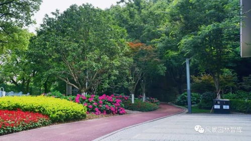 近20項科技成果護駕的世界級綠道——環(huán)東湖綠道一期景觀工程第二標段解析